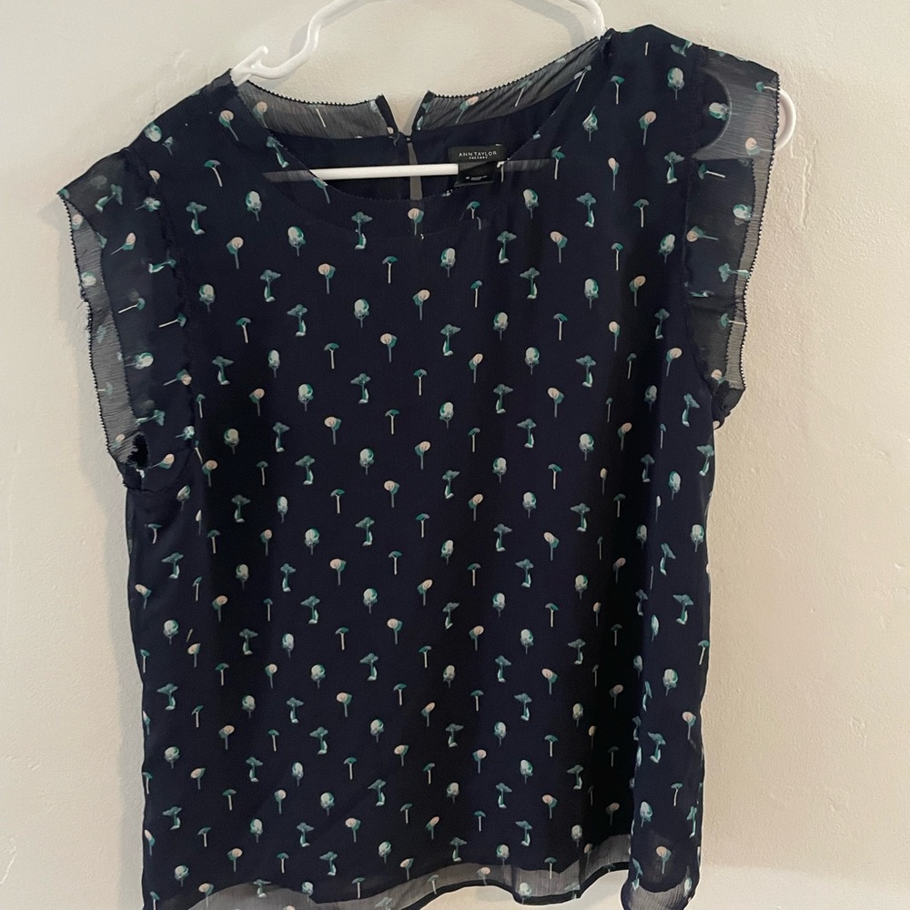 Ann Taylor blouse